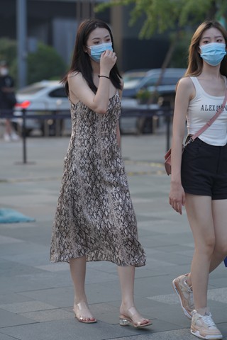 长裙美zu美女