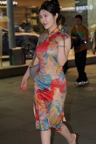 旗袍装气质美女